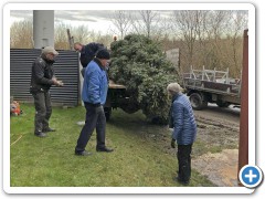 Hente ved Lyngehallen
