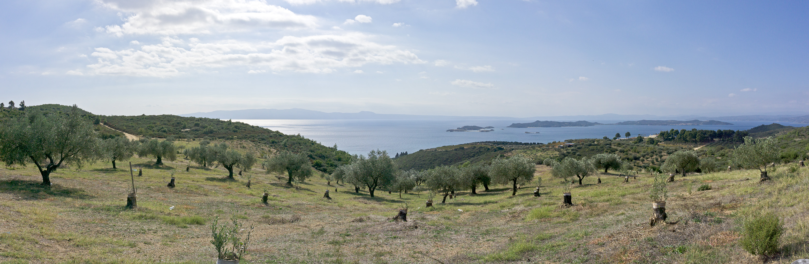 Oven for Ouranoupolis mod det Ægæiske Hav / Above Ouranoupolis against the Aegean Sea