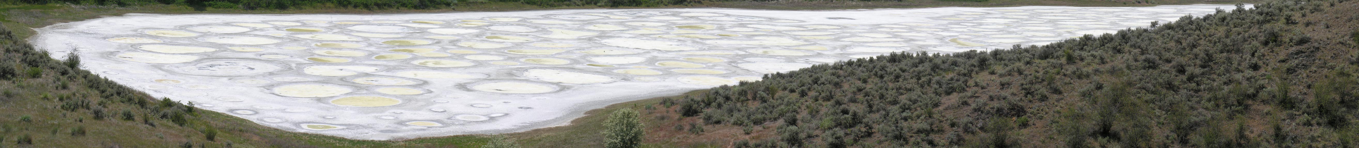 Spotted Lake in BC