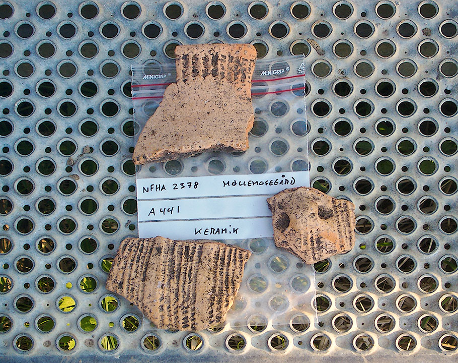 Stone Age Ceramic - April 2011