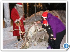 Resdyret Blåøje får naturligvis rensdyrlav som julemad